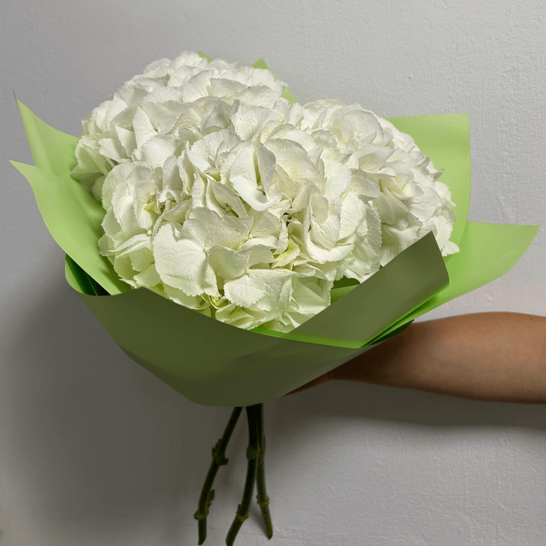 AMM26.1.png Buchet 3 hortensii - imagine 1